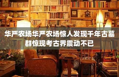 华严农场华严农场惊人发现千年古墓群惊现考古界震动不已
