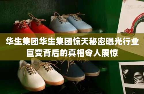华生集团华生集团惊天秘密曝光行业巨变背后的真相令人震惊