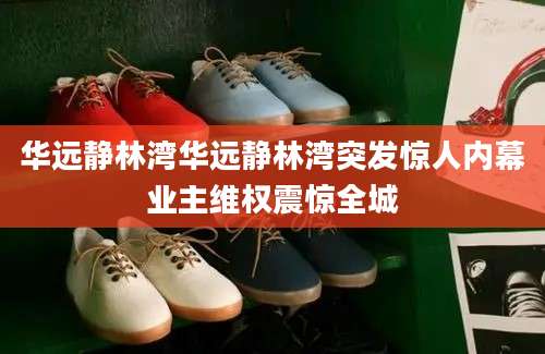 华远静林湾华远静林湾突发惊人内幕业主维权震惊全城