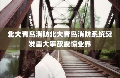 北大青鸟消防北大青鸟消防系统突发重大事故震惊业界