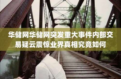 华储网华储网突发重大事件内部交易疑云震惊业界真相究竟如何