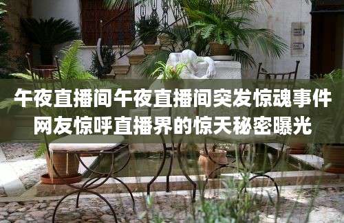 午夜直播间午夜直播间突发惊魂事件网友惊呼直播界的惊天秘密曝光
