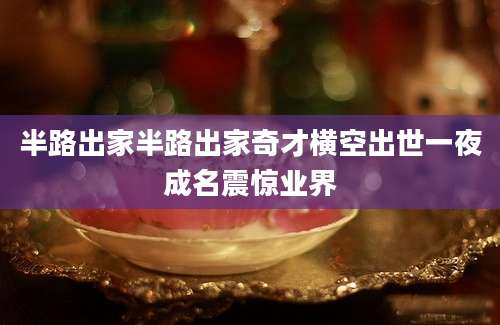 半路出家半路出家奇才横空出世一夜成名震惊业界