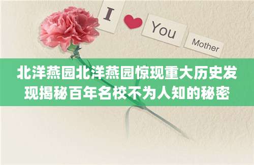 北洋燕园北洋燕园惊现重大历史发现揭秘百年名校不为人知的秘密