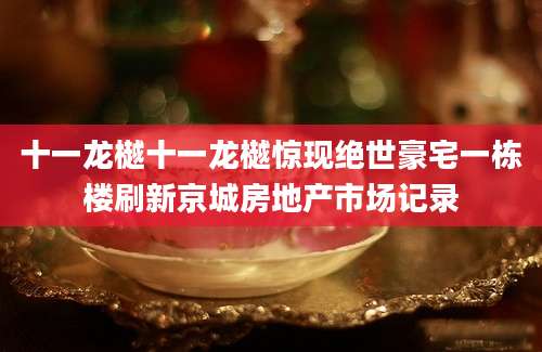 十一龙樾十一龙樾惊现绝世豪宅一栋楼刷新京城房地产市场记录