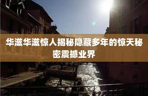 华滋华滋惊人揭秘隐藏多年的惊天秘密震撼业界
