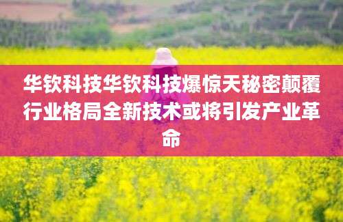 华钦科技华钦科技爆惊天秘密颠覆行业格局全新技术或将引发产业革命