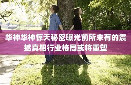 华神华神惊天秘密曝光前所未有的震撼真相行业格局或将重塑