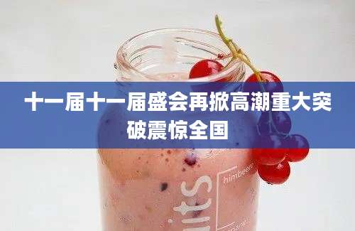 十一届十一届盛会再掀高潮重大突破震惊全国