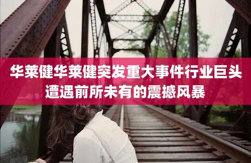 华莱健华莱健突发重大事件行业巨头遭遇前所未有的震撼风暴