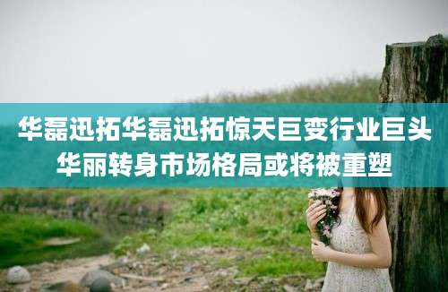 华磊迅拓华磊迅拓惊天巨变行业巨头华丽转身市场格局或将被重塑