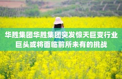 华胜集团华胜集团突发惊天巨变行业巨头或将面临前所未有的挑战