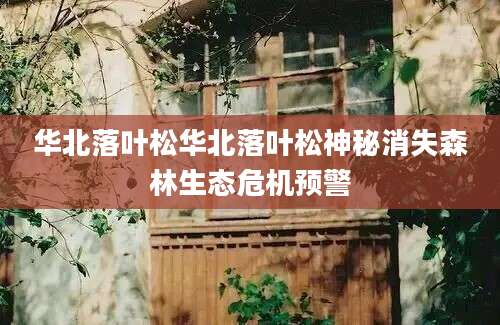 华北落叶松华北落叶松神秘消失森林生态危机预警