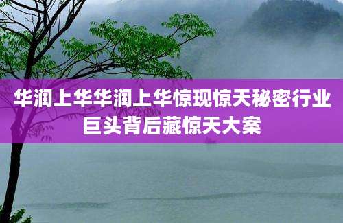 华润上华华润上华惊现惊天秘密行业巨头背后藏惊天大案