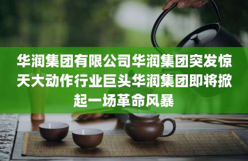 华润集团有限公司华润集团突发惊天大动作行业巨头华润集团即将掀起一场革命风暴