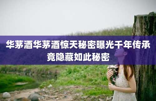 华茅酒华茅酒惊天秘密曝光千年传承竟隐藏如此秘密