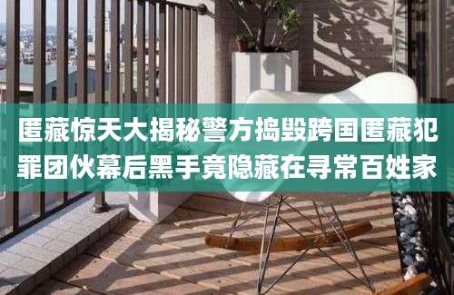 匿藏惊天大揭秘警方捣毁跨国匿藏犯罪团伙幕后黑手竟隐藏在寻常百姓家