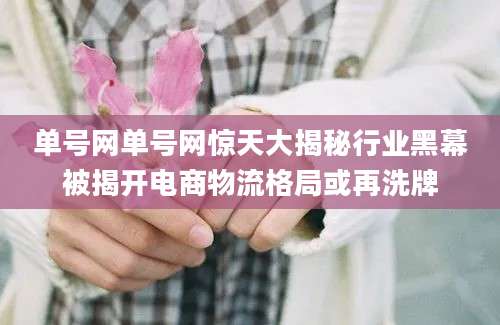 单号网单号网惊天大揭秘行业黑幕被揭开电商物流格局或再洗牌