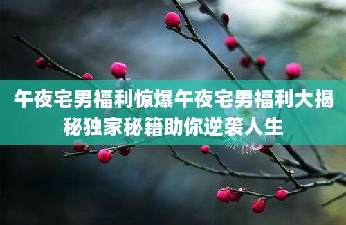 午夜宅男福利惊爆午夜宅男福利大揭秘独家秘籍助你逆袭人生