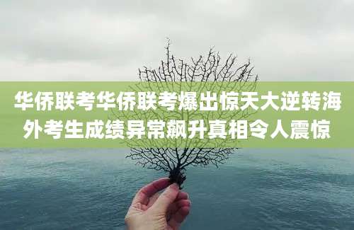 华侨联考华侨联考爆出惊天大逆转海外考生成绩异常飙升真相令人震惊