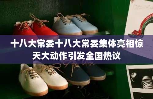 十八大常委十八大常委集体亮相惊天大动作引发全国热议
