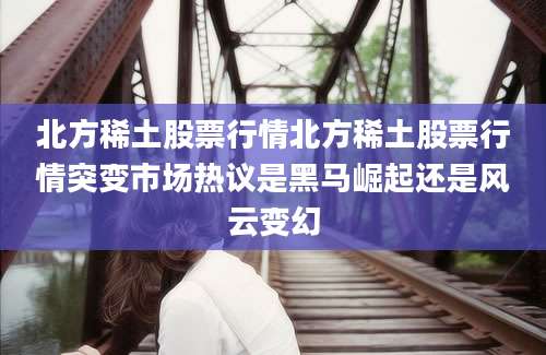 北方稀土股票行情北方稀土股票行情突变市场热议是黑马崛起还是风云变幻