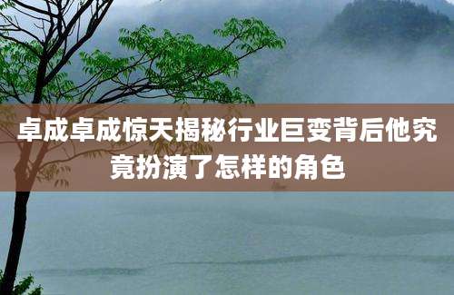 卓成卓成惊天揭秘行业巨变背后他究竟扮演了怎样的角色