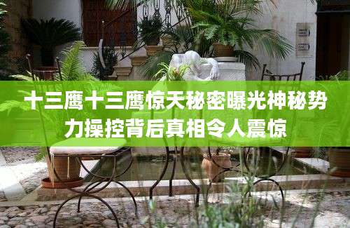十三鹰十三鹰惊天秘密曝光神秘势力操控背后真相令人震惊