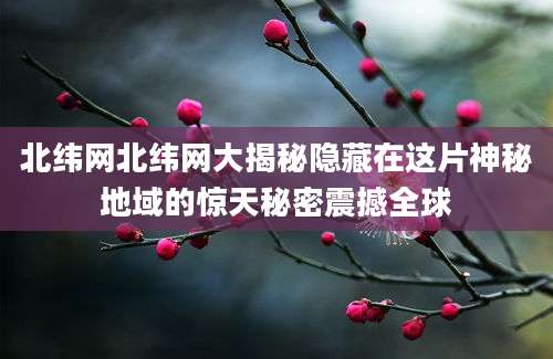 北纬网北纬网大揭秘隐藏在这片神秘地域的惊天秘密震撼全球