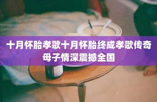 十月怀胎孝歌十月怀胎终成孝歌传奇母子情深震撼全国