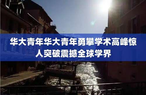 华大青年华大青年勇攀学术高峰惊人突破震撼全球学界
