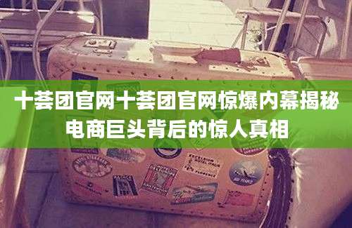 十荟团官网十荟团官网惊爆内幕揭秘电商巨头背后的惊人真相
