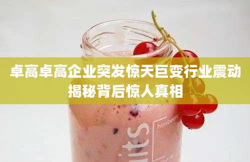 卓高卓高企业突发惊天巨变行业震动揭秘背后惊人真相