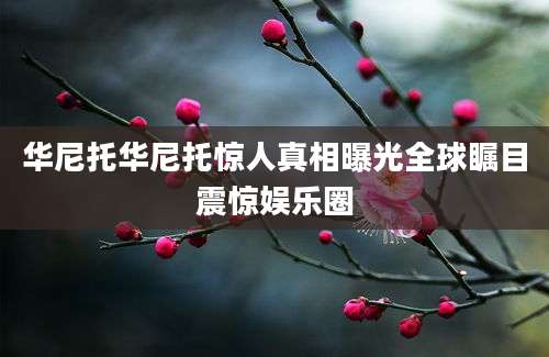 华尼托华尼托惊人真相曝光全球瞩目震惊娱乐圈