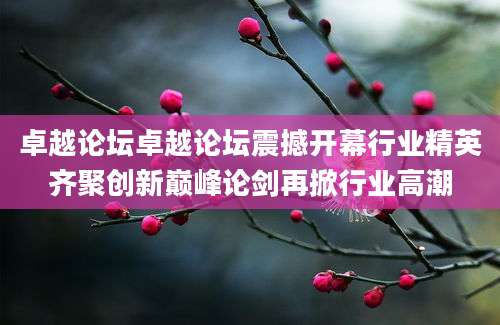 卓越论坛卓越论坛震撼开幕行业精英齐聚创新巅峰论剑再掀行业高潮