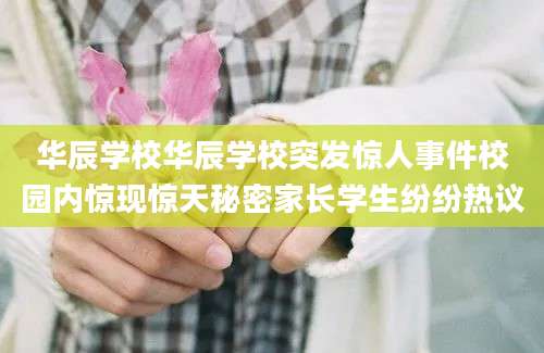 华辰学校华辰学校突发惊人事件校园内惊现惊天秘密家长学生纷纷热议
