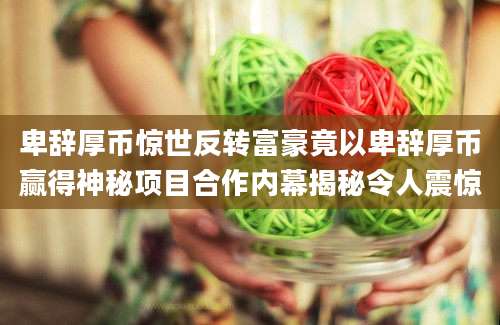 卑辞厚币惊世反转富豪竟以卑辞厚币赢得神秘项目合作内幕揭秘令人震惊