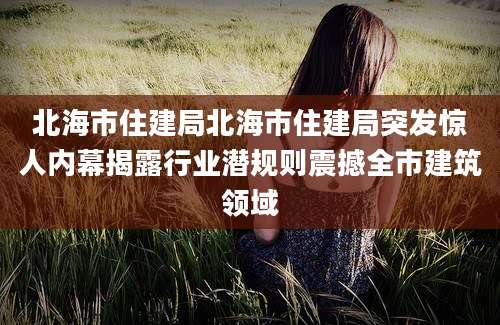 北海市住建局北海市住建局突发惊人内幕揭露行业潜规则震撼全市建筑领域
