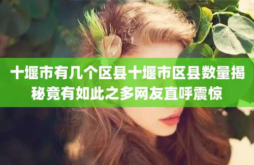 十堰市有几个区县十堰市区县数量揭秘竟有如此之多网友直呼震惊