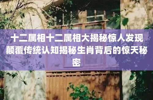 十二属相十二属相大揭秘惊人发现颠覆传统认知揭秘生肖背后的惊天秘密