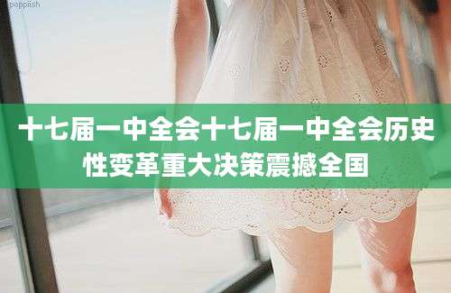 十七届一中全会十七届一中全会历史性变革重大决策震撼全国