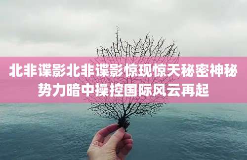 北非谍影北非谍影惊现惊天秘密神秘势力暗中操控国际风云再起