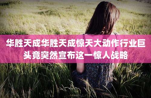 华胜天成华胜天成惊天大动作行业巨头竟突然宣布这一惊人战略
