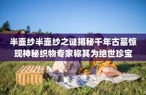 半壶纱半壶纱之谜揭秘千年古墓惊现神秘织物专家称其为绝世珍宝