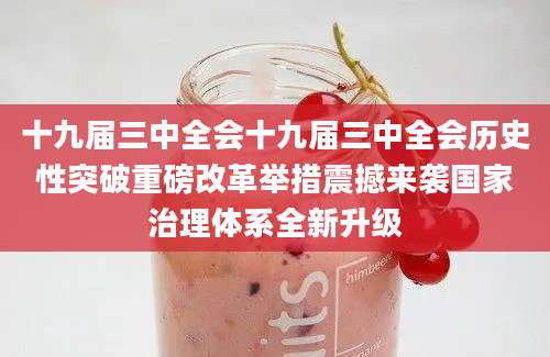 十九届三中全会十九届三中全会历史性突破重磅改革举措震撼来袭国家治理体系全新升级