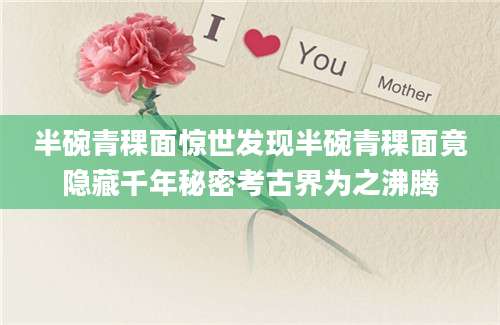 半碗青稞面惊世发现半碗青稞面竟隐藏千年秘密考古界为之沸腾