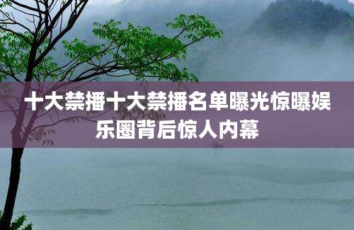 十大禁播十大禁播名单曝光惊曝娱乐圈背后惊人内幕