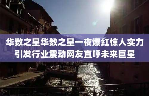 华数之星华数之星一夜爆红惊人实力引发行业震动网友直呼未来巨星