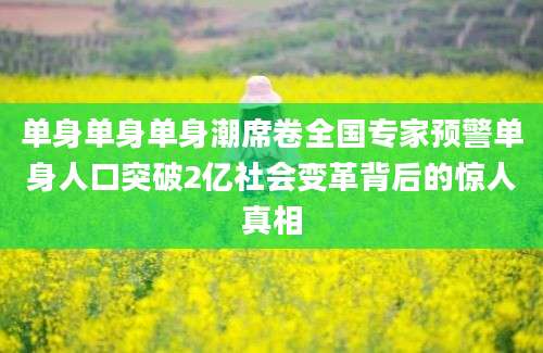 单身单身单身潮席卷全国专家预警单身人口突破2亿社会变革背后的惊人真相