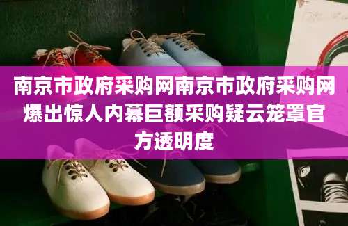 南京市政府采购网南京市政府采购网爆出惊人内幕巨额采购疑云笼罩官方透明度